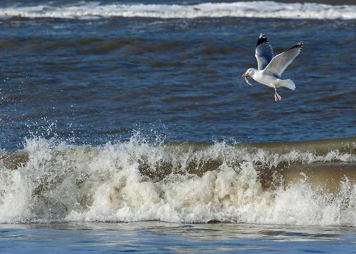 Haus Seute Deern - Whg. Bilge アパート ユイスト